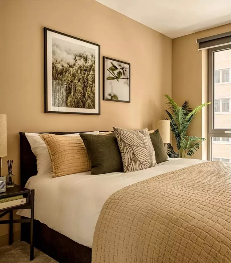 2 Bedroom Apartments